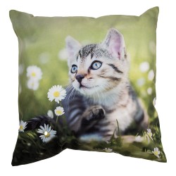 Clayre & Eef Housse de coussin 45x45 cm Vert Polyester Chat