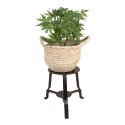 Clayre & Eef Plant Table 18x18x22 cm Black Iron Round