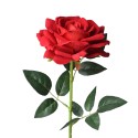 Clayre & Eef Artificial Flower Rose Ø12x76 cm Red Plastic