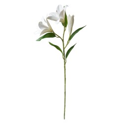 Clayre & Eef Fleur artificielle 71 cm Blanc Plastique