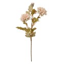 Clayre & Eef Artificial Flower 68 cm Beige Plastic