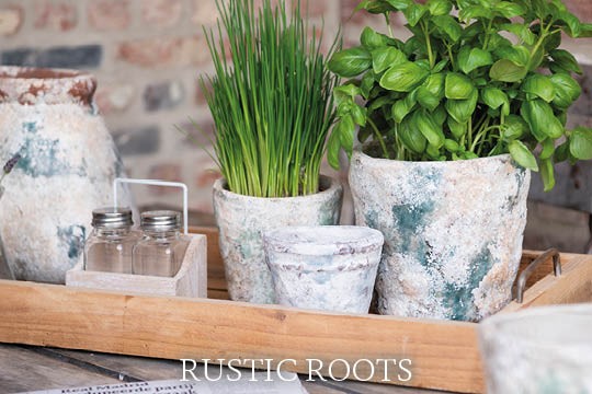 Rustic Roots