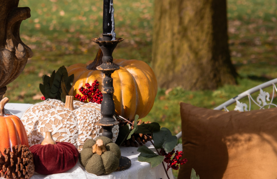 Foto van een picknick met keukentextiel met aardbeien-print