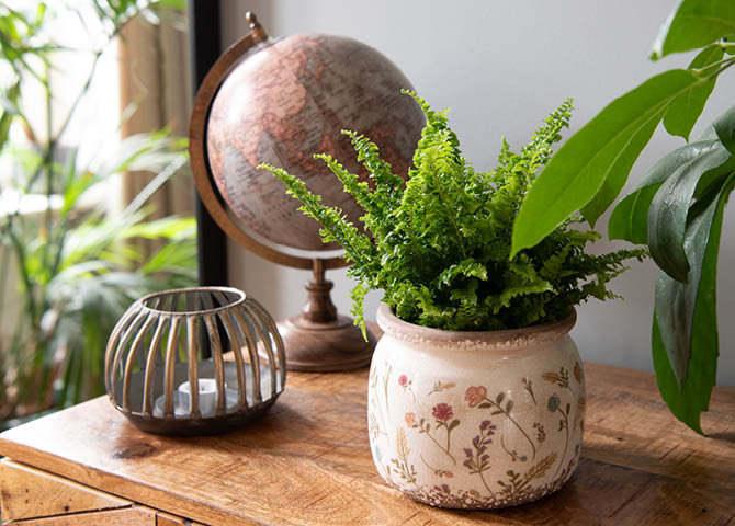 Un globe terrestre et un pot de fleurs.