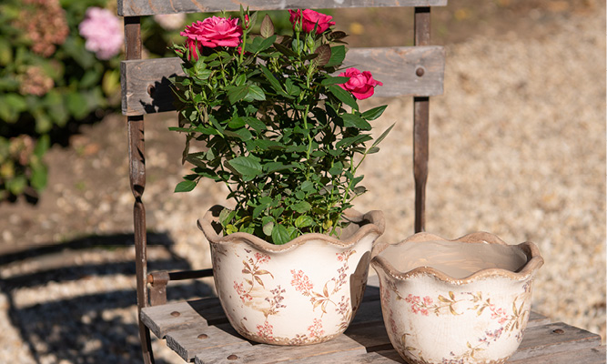 Two romantic flower pots with a ribbed edge and pink roses in them on a wooden garden chair