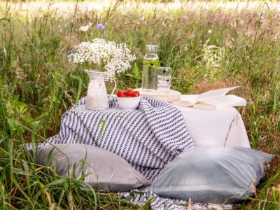 With these tips, you'll organize the perfect picnic!