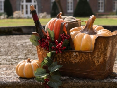 Faites entrer l'automne dans votre maison avec des citrouilles