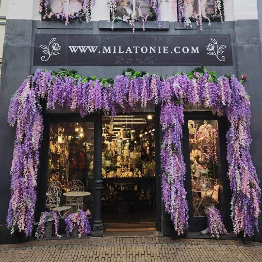 Winkel Venlo