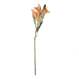 5PL0252Y_02.jpg