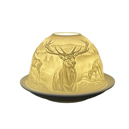 6CE1812_02.jpg