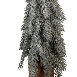66430_02.jpg