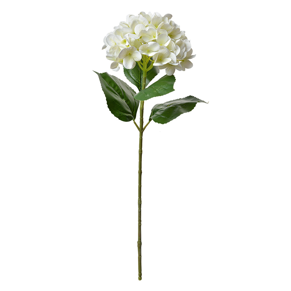 5PL0137BE_02.jpg