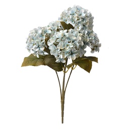 6PL0306_02.jpg