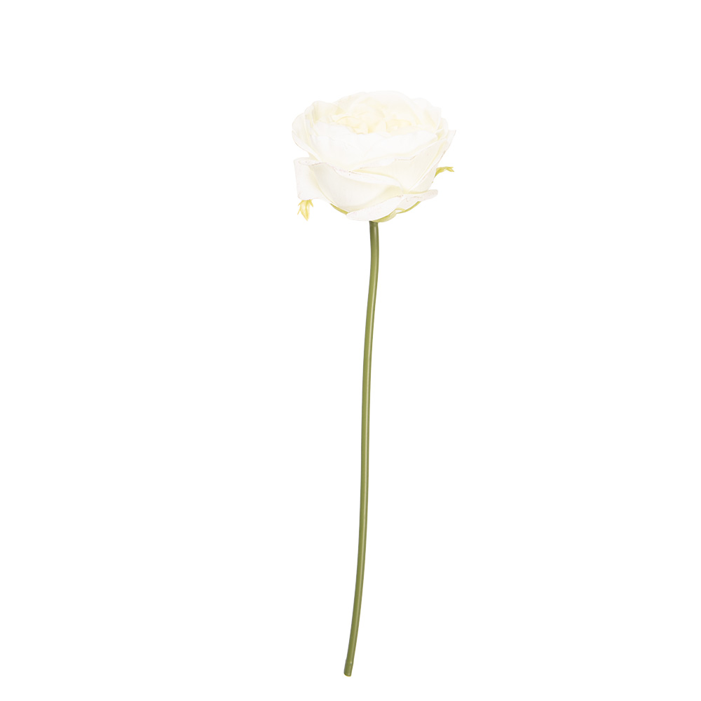 5PL0237W_02.jpg