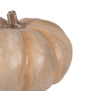6PR4371_03.jpg