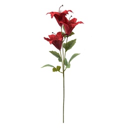 6PL0337R_02.jpg