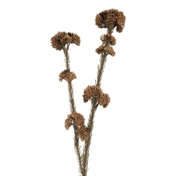 [6PL0399CH] Deko Ast mit Blumen Braun Grün 6x6x58 cm