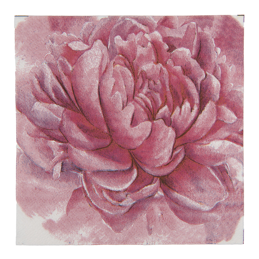 Papieren servetten 33x33 cm (20)