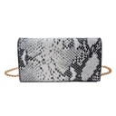 Handbag Women Silver 18x10x5 cm / Ø 13 cm