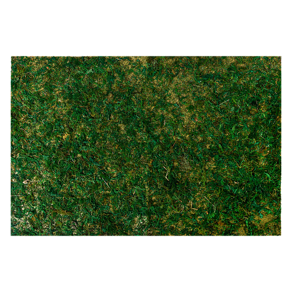 Tappetino di Muschio Verde 60x40x1 cm