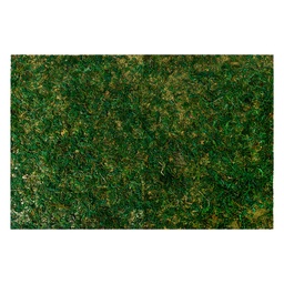 [66121] Moosmatte Grün 60x40x1 cm
