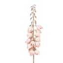 Branche de décoration avec fleurs Rose Brun 12x12x100 cm