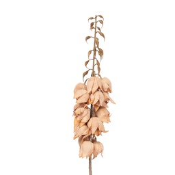 [5PL0257LP] Decorative Artificial Branch with flowers Brown 12x12x100 cm