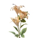 Deko Ast mit Blumen Beige Grün 15x10x72 cm