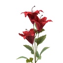 Rami Artificiali Decorativi con fiori Rosso Verde 15x10x72 cm