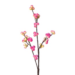 [5PL0342] Deko Ast Rot 85 cm