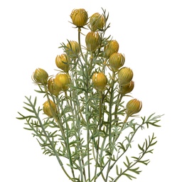 [6PL0349Y] Decoratie tak met bloemen 16x16x47 cm