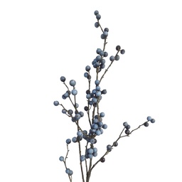 [5PL0346] Decoratie tak 106 cm