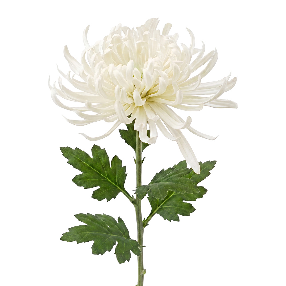 Dekorativer Zweig mit Blumen Weiß Grün 76 cm