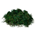 Mousse de décoration (en vrac) Vert 75 g