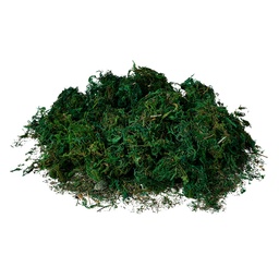[66109] Decoration moss (loose) Green 75 g