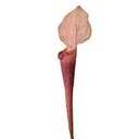 Kunstblumen Violett Grün 6x5x75 cm