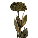 Kunstblumen Grün 10x10x65 cm