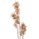Decorative Artificial Branch with flowers Beige Brown 14x16x120 cm