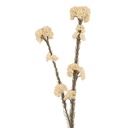 Decorative Artificial Branch with flowers White Green 6x6x58 cm