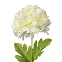 Fiori Finti Bianco Verde 15x15x80 cm