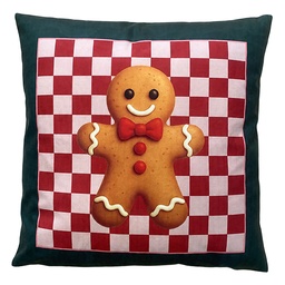 [KG023.227] Coussin rempli Vert Rouge 45x45x4 cm