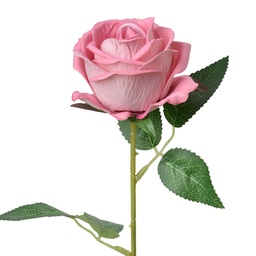 [6PL0359P] Artificial Flower Roses Pink Green 8x8x50 cm