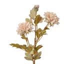 Decorative Artificial Branch with flowers Beige 9x9x68 cm