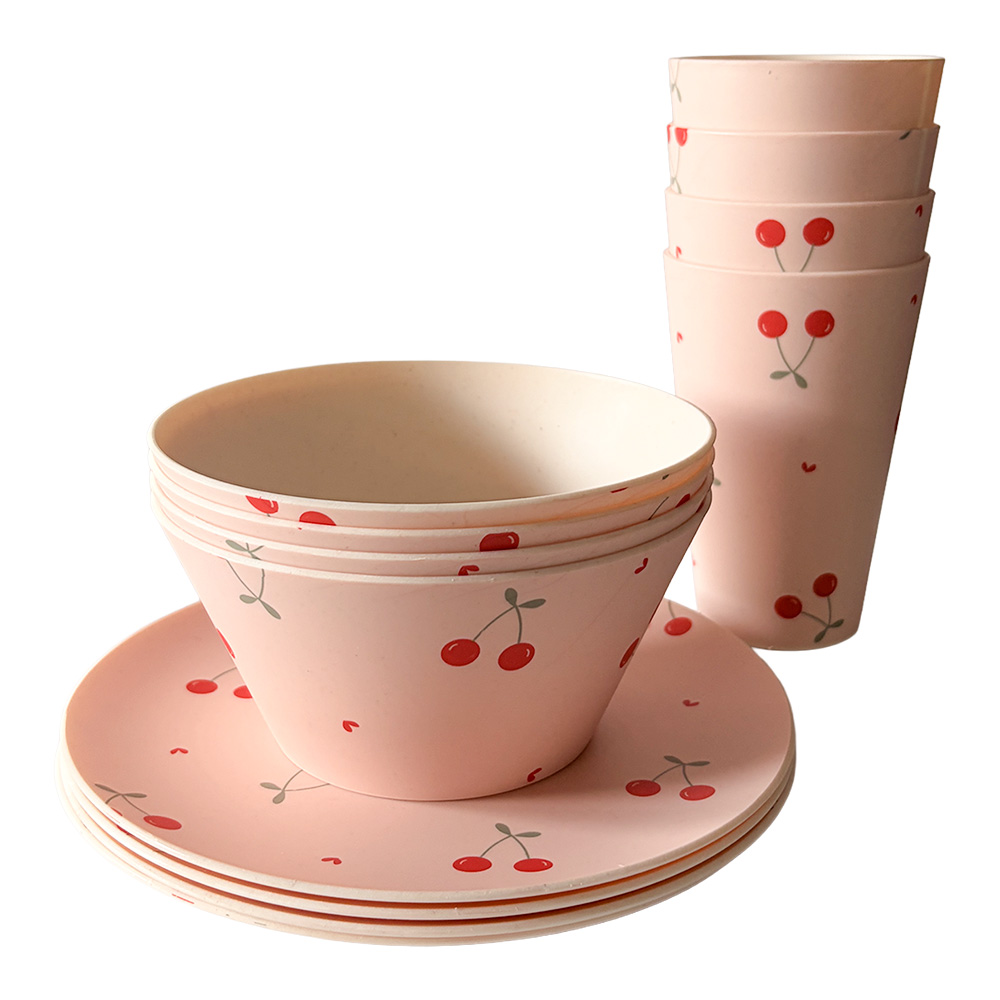 Servies setje picknick (12)
