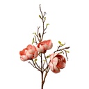Rami Artificiali Decorativi con fiori Rosa Marrone 20x20x106 cm
