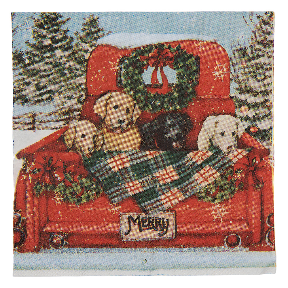 Paper napkins Red Blue 33x33 cm (20)