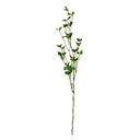 Branche de décoration Vert Marron 19x10x116 cm