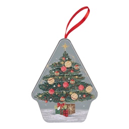 [6BL0203] Blik 10x13x6 cm