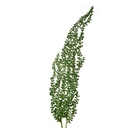 Branche de décoration Vert 10x5x77 cm