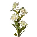 Decorative Artificial Branch with flowers White Green 17x14x70 cm